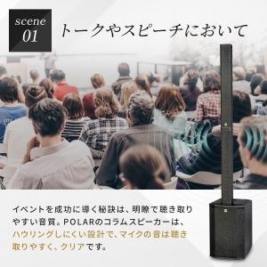 HK AUDIO Polar 10 MK2 B...の詳細画像5