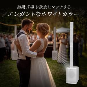 HK AUDIO Polar 10 MK2 W...の詳細画像1