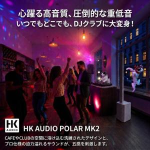 HK AUDIO Polar 10 MK2 W...の詳細画像4