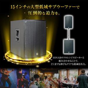 HK AUDIO SONAR 115 Sub ...の詳細画像1