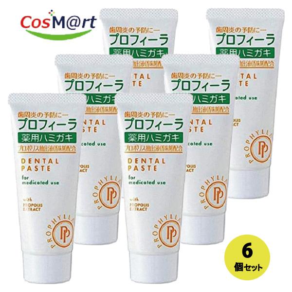 【6個セット】 【歯科専売品】 松風 プロフィーラ 薬用ハミガキ 100g SF (45735993...