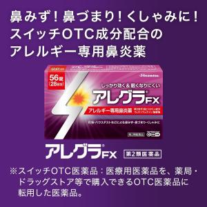 【使用期限26年9月までの為特価】 【第2類医...の詳細画像1