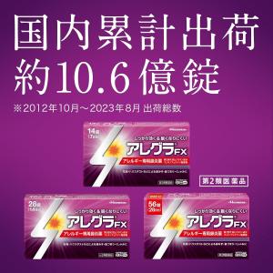 【使用期限26年9月までの為特価】 【第2類医...の詳細画像3