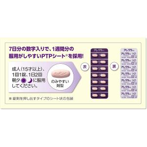 【使用期限26年9月までの為特価】 【第2類医...の詳細画像4