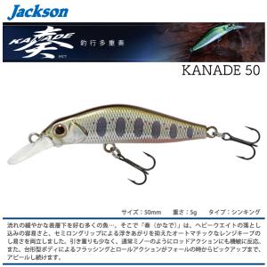 Jackson（ジャクソン） かなで奏 50 : ウインズヤフー店 - 通販