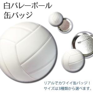 バレーボール グッズ プレゼントの商品一覧 通販 Yahoo ショッピング