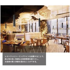 AAAZM ペンダントライト LED電球 北欧...の詳細画像4