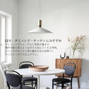 AAAZM ペンダントライト 北欧 おしゃれ ...の詳細画像3