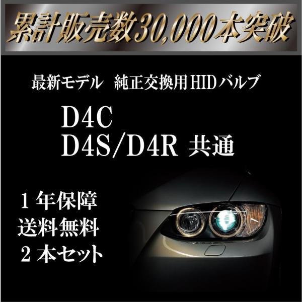 D4C D4S 兼用 ヘッドライト HIDバルブ 交換用 55W 12000K 2個セット 1年保証