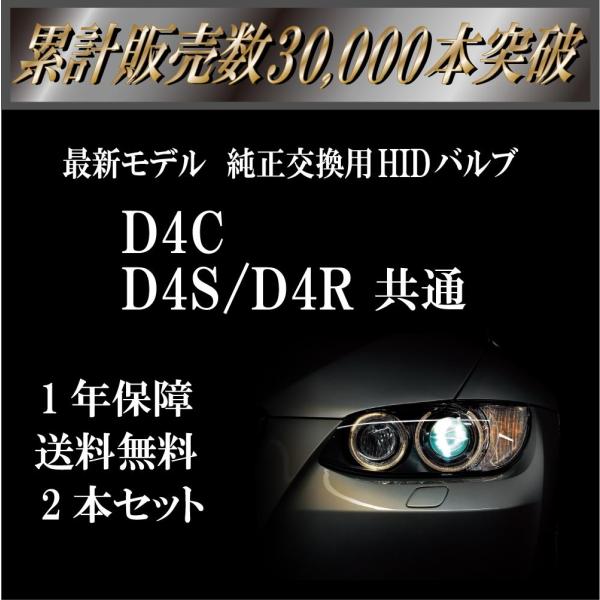 D4C D4S 兼用 ヘッドライト HIDバルブ 交換用 55W 10000K 2個セット 1年保証