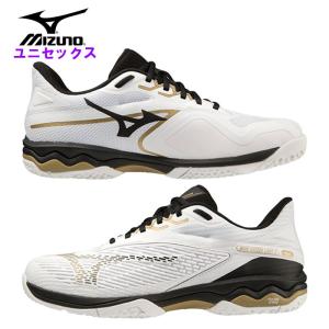 ミズノ mizuno テニスシューズ メンズ シューズ テニス  レディース ウィメンズ 男子 女子 硬式 軟式 ソフトテニス 砂入り 人工芝 コート クレーコート 61GB2319｜fun