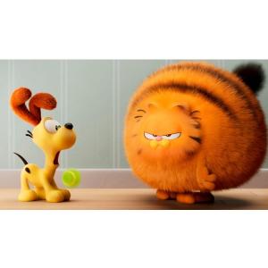 LIFE誌 ガーフィールド GARFIELD ...の詳細画像2