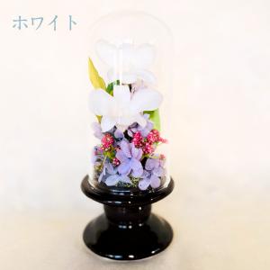 枯れない仏花 仏花 プリザーブドフラワー お仏壇 神棚 お供え ガラスケース入り 蘭 純白 白色 デンファレ