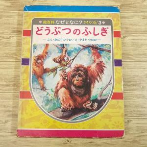 図鑑[(1979年4月初版)動物のふしぎな世界 3 サーカスの動物たち] 動物