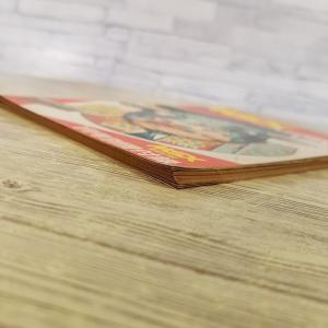 ゲーム関連[MSX SOFT CATALOG ...の詳細画像4