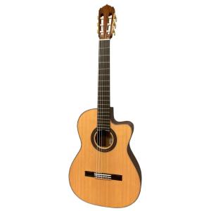 ASTURIAS アストリアス Trad OM Reverence ナチュラル アコギ