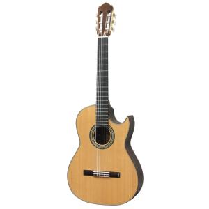 アストリアス エレガットギター SOLO CLASSICO PREMIO S