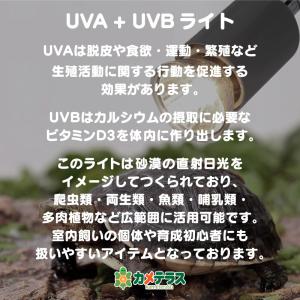 紫外線 紫外線ライト 交換用 e26 50W ...の詳細画像2