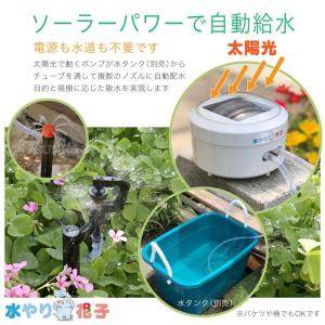 ソーラー自動灌水器 水やり花子 電源 水道 不...の詳細画像2