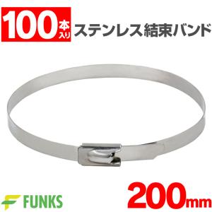 結束バンド ステンレス 200mm ケーブルタイ ステンレスバンド 屋外 セット タイバンド 100本セット