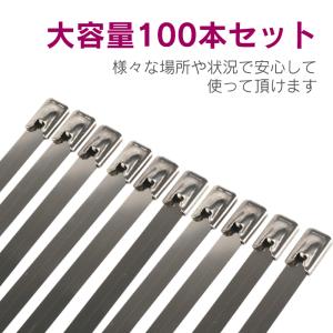 結束バンド ステンレス 200mm ケーブルタ...の詳細画像5