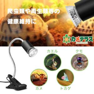 一年保証 公式 カメテラス クリップ式 紫外線...の詳細画像2