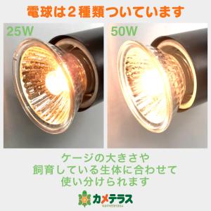 一年保証 公式 カメテラス クリップ式 紫外線...の詳細画像4