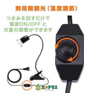 一年保証 公式 カメテラス クリップ式 紫外線...の詳細画像5