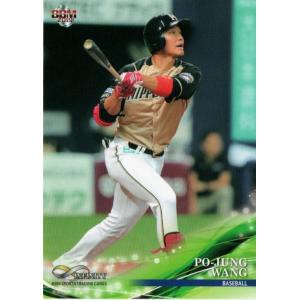 山本裕典 JUNONトレカ第1弾専用バインダー 山本裕典JUNONトレカ第1弾 専用バインダー