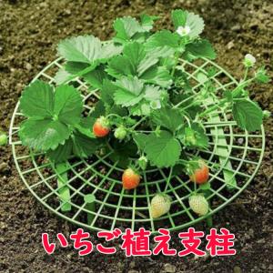 いちご植え支柱 2個セット 園芸支柱 野菜スタンド 誘引作業 白カビ 害虫対策 組み立て簡単 風通しがよい 繰り返し使用可 自宅いちご栽培　いちご農園 ITGS3030S2｜funlife