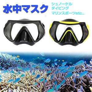 シュノーケルマスク 水中メガネ 一眼レンズ 視界クリア