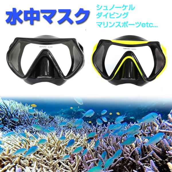 シュノーケルマスク 水中メガネ 一眼レンズ 視界クリア 強化ガラス スイミング スノーケル スキュー...