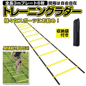 トレーニング ラダー スピードラダー 3ｍ プレート6枚 トレーニング器具 瞬発力 敏捷性 軽量 スポーツ 野球 サッカー フットサル 陸上競技 収納袋付き STLAD03M｜funlife