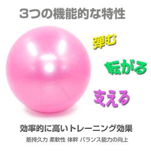 ヨガボール ピラティスボール 直径25cm ミ...の詳細画像2