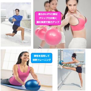 ヨガボール ピラティスボール 直径25cm ミ...の詳細画像4