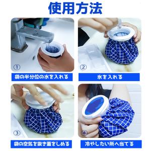 氷のう アイスバッグ 氷嚢 アイシング クール...の詳細画像4