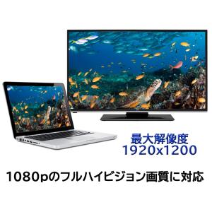 DVI to VGA 変換ケーブル 解像度10...の詳細画像5