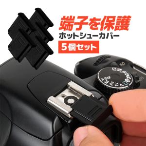 Nikon ニコン D5600 D5300 D3400 D3500 AF-P ダブルズームキット 用