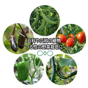 支柱誘引クリップ 50個セット 植物支柱リング...の詳細画像5