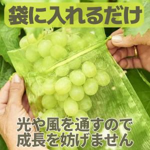 20枚セット 果実袋 防虫ネット 通気 果物保...の詳細画像1