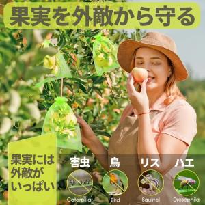 20枚セット 果実袋 防虫ネット 通気 果物保...の詳細画像2
