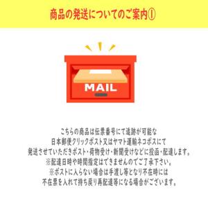 沖縄産シークワーサー粉末パウダー100g【賞味...の詳細画像4