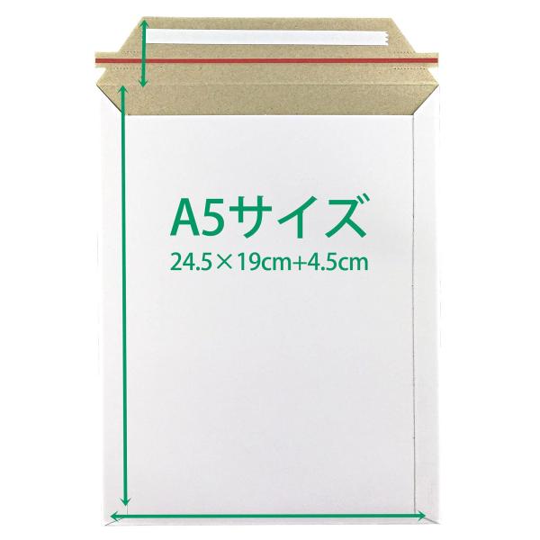 (50枚入)厚紙封筒 ビジネスレターケース A5対応EMS-A5 (高24.5CM 幅19CM) コ...