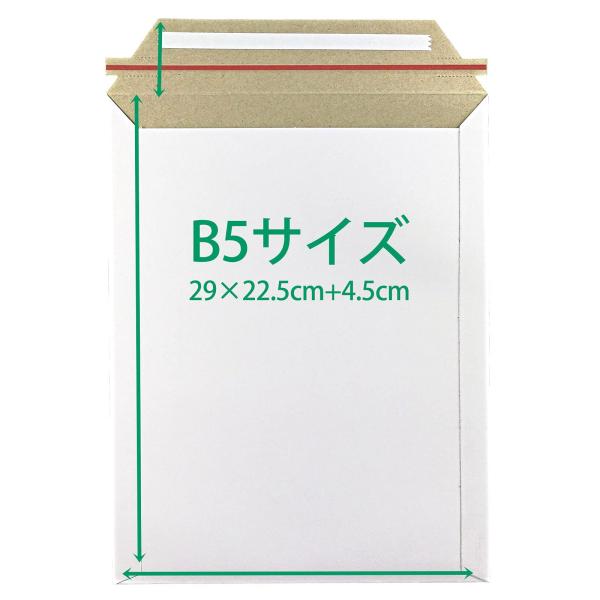 (50枚入)B5サイズ（高29cm 幅22.5cm） 厚紙封筒 書類封筒 ビジネスレターケース 宅配...