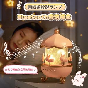 Miffy（ミッフィー） シリコンルームライト 飾り イルミネーション