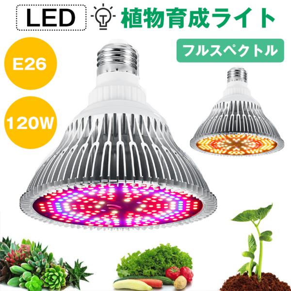 植物育成ライト LED 200個 E26 口金 電球 育苗ライト 観葉植物 多肉植物 効果 120W...