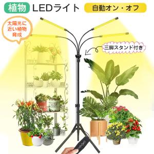 植物育成ライト スタンド LED タイマー 4灯 伸縮式スタンド 252個LED