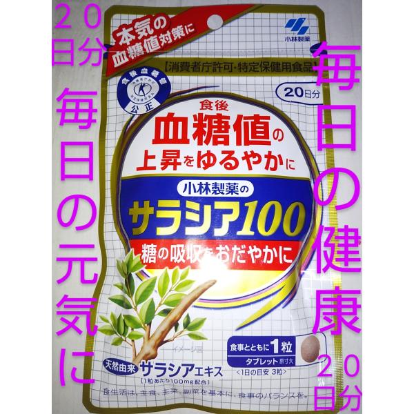 サラシア100 ２０日分 大量購入大歓迎♪血糖値が高めの方に  サプリ サラシア100 ２０日分 小...