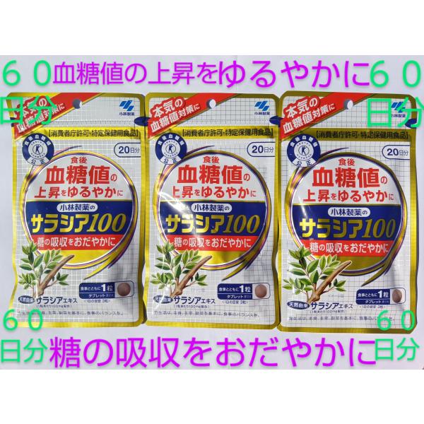 サラシア100 ６０日分  血糖値が高めの方に  サプリ サラシア100 ６０日分♪大量購入大歓迎♪...