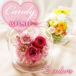 母の日 遅れてごめんね ギフト 「キャンディー」...の商品画像